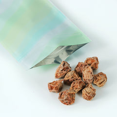 Reusable Flat Zipper Seal Bags – Glossy Double-Sided Mint Chip Green Ombre Gradient Mylar