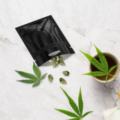 Glossy Double-Sided Mylar Foil Zipper Seal Bags with Triangle Hang Hole