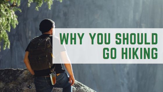 5 Reasons You Should Go Take a Hike