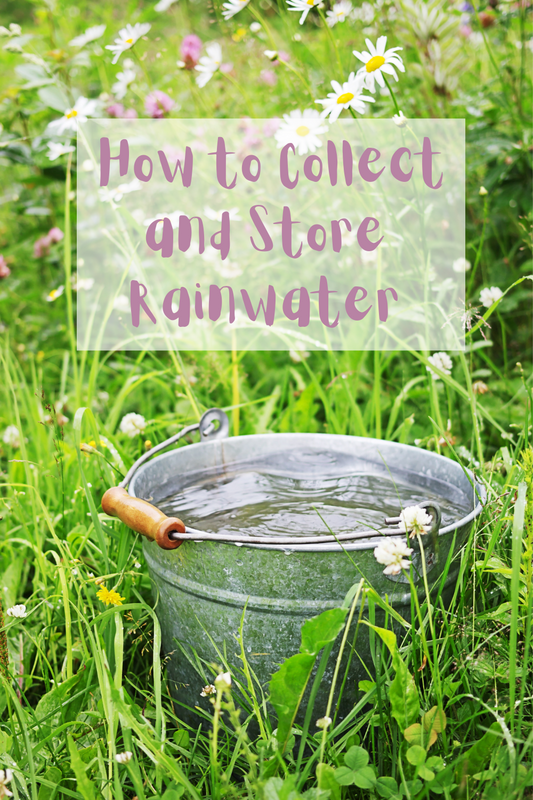 How to Collect and Store Rainwater