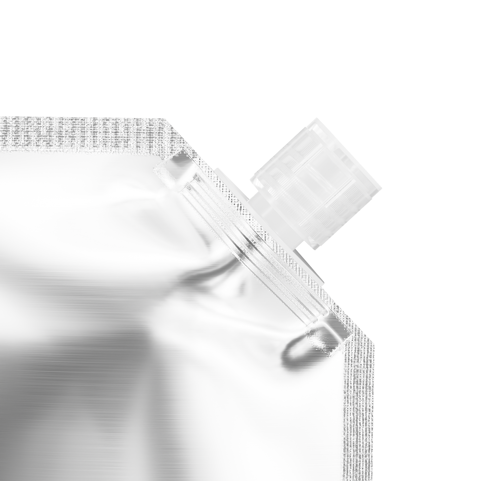 Glossy Iron Silver Stand Pouch with Corner Wide Mouth Flip Cap